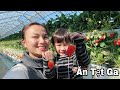Thử Thách Ăn Cả Vườn Dâu Tây Siêu To Khổng Lồ Cùng Quỳnh Trần #496