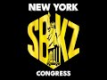 New york sbkz congress  2024 recap