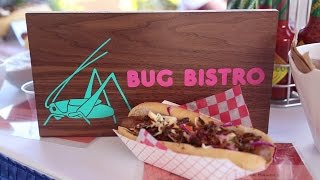 The CNE part two: The CNE EATS! watch us eat bugs lol