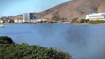 Simulation Vision with Floaters Video