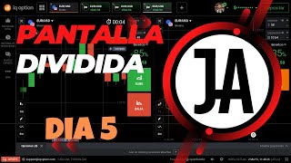 Potencia tu Trading: Opciones Binarias con Pantalla Dividida