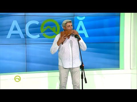 Constantin Moscovici -