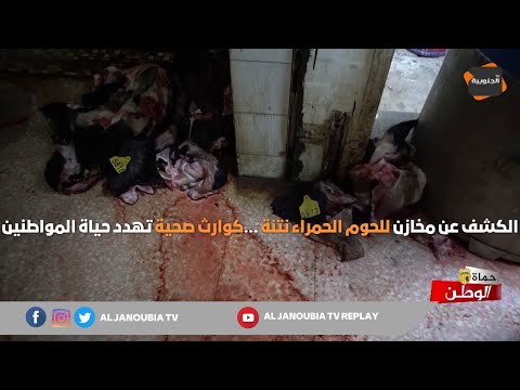حملات الشرطة البلدية والكشف عن مخازن للحوم الحمراء نتنة كوارث صحية تهدد حياة المواطنين