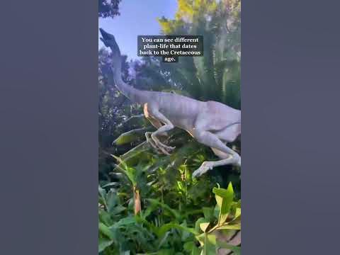 Complete Guide to DINOSAUR at Animal Kingdom - WDW Prep School