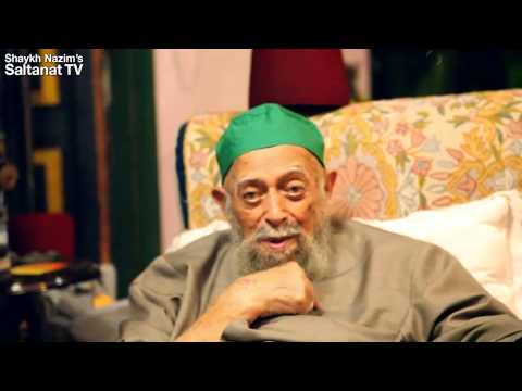 Шейх Назим. "Зеленый цвет"