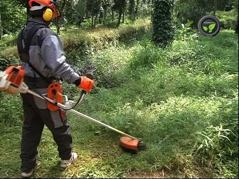Weed Cutter or Weeder or Brush Cutter - YouTube