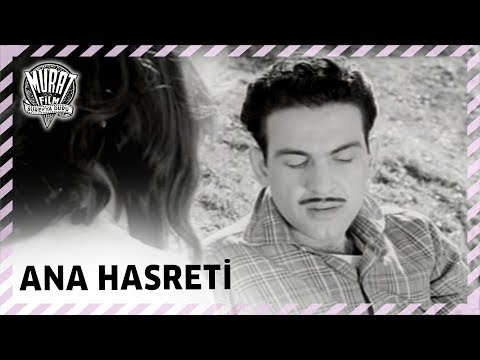 Ana Hasreti