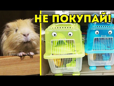 УЖАСЫ ЗООМАГАЗИНА. Не покупай это питомцам! Морские свинки ПРОТИВ. SvinkiShow