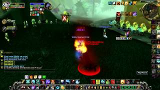 FERAL DRUID BURST WOWBEEZ