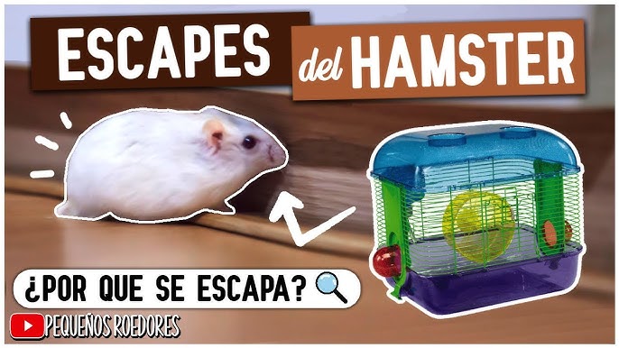 Zoomarpets - Si te vas de vacaciones y tienes peces utiliza Tetra