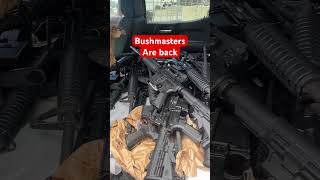 Who Wants A Bushmaster?