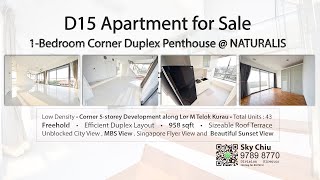 D15 Freehold Apartment for Sale: 1 Bedroom Corner Duplex Penthouse (958sqft)