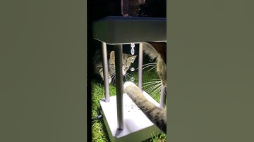 3 super cool optical illusion gadgets 😎 #shorts