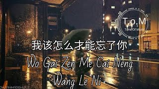 Wo Gai Zen Me Cai Neng Wang Le Ni 我该怎么才能忘了你 Lyrics Pinyin - Yao Qian 姚倩 ( MANDARIN SONG )