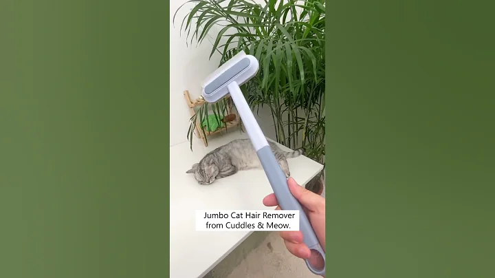 How I Keep My House Hair Free! 🐈