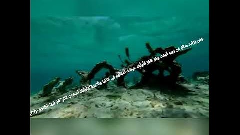 صالح مقبل الشراري قرأهاخاشعه ماتيسر من سورةالبقره