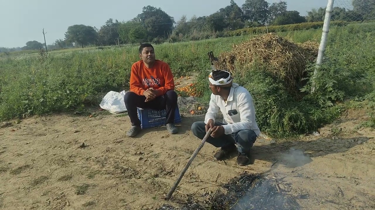 #Horha| #होरहा -: का मुख्य अर्थ आग में भुने हुए #चने या #मटर की हरी फलियाँ हैं। 