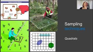 Ecological field sampling