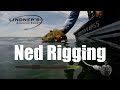 Ned rigging