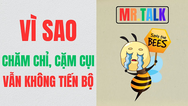 Tại sao lại so sánh chị to và chị phan