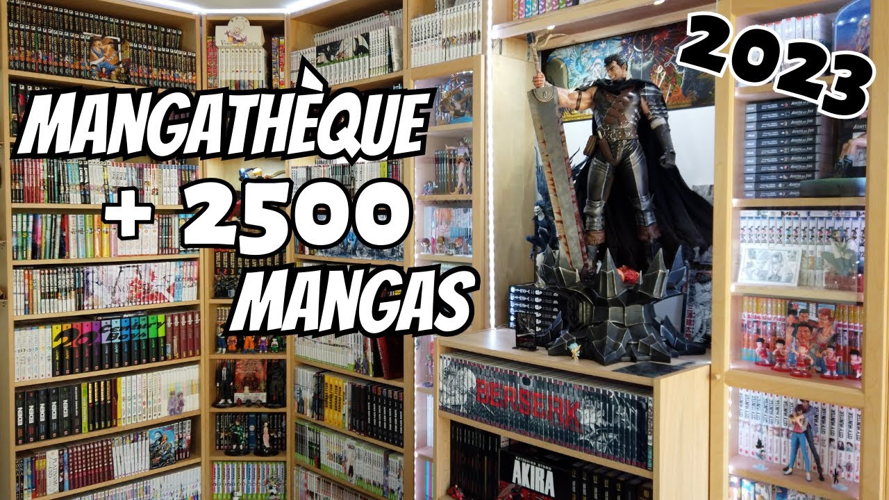 Mangathèque 2023 ! Version courte (Manga/ figurine/ Collection / Résine /  Rangement ) 