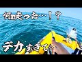 クーラーが閉まらない… これだから二馬力ボートはやめられない！
