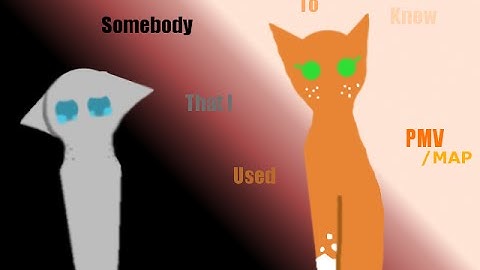 Somebody that I used to know PMV/MAP 5/19 full