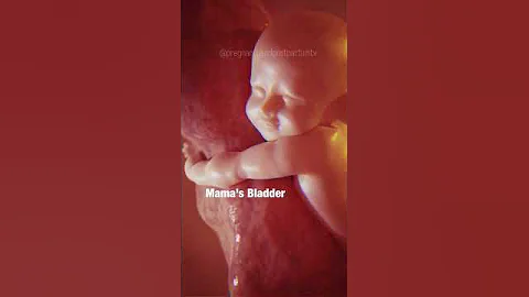 MAGICAL: What babies do in the WOMB 😍 #pregnancy #shorts - DayDayNews