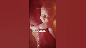 MAGICAL: What babies do in the WOMB 😍 #pregnancy #shorts