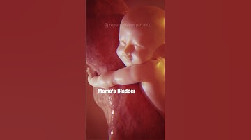 Thumbnail of MAGICAL: What babies do in the WOMB 😍 #pregnancy #shorts