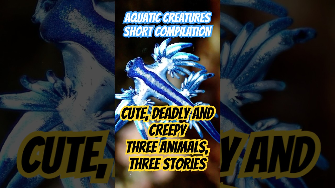 The CUTEST And DEADLIEST Animals