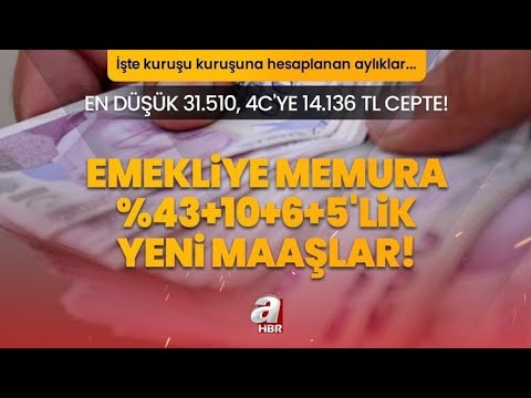 Emekliye Memura %43+10+6+5'lik yeni maaşlar! En düşük 31.510, 4C'ye 14.136 TL cepte! 8.077 TL seyyan