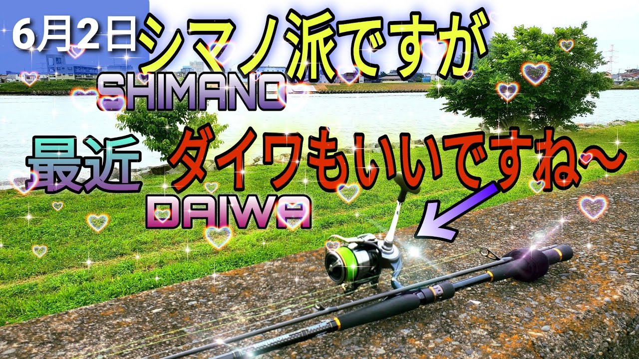 シーバスタックルは基本SHIMANO派ですが、最近はDAIWAも好きになりました！ - YouTube