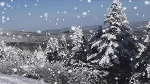 أرح سمعك ...حالات واتساب دينية ..سورة الاخلاص..صوت عذب