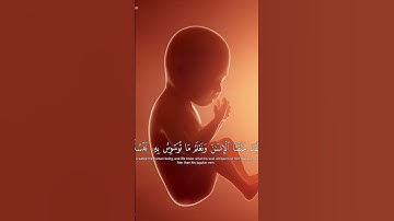 القارئ محمد هشام ((سورة ق))