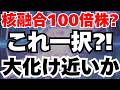 【核融合で100倍株⁈】核融合の心臓部を握る日本の小型株の将来性