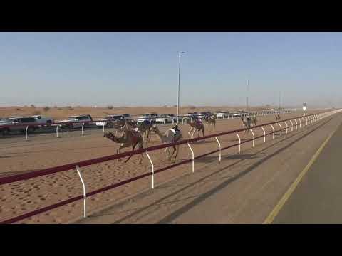 ميدان الذيد ش 8 ايذاع 04 09 2022 دمعة ل على راشد سعيد على القايدي التوقيت6 16 56