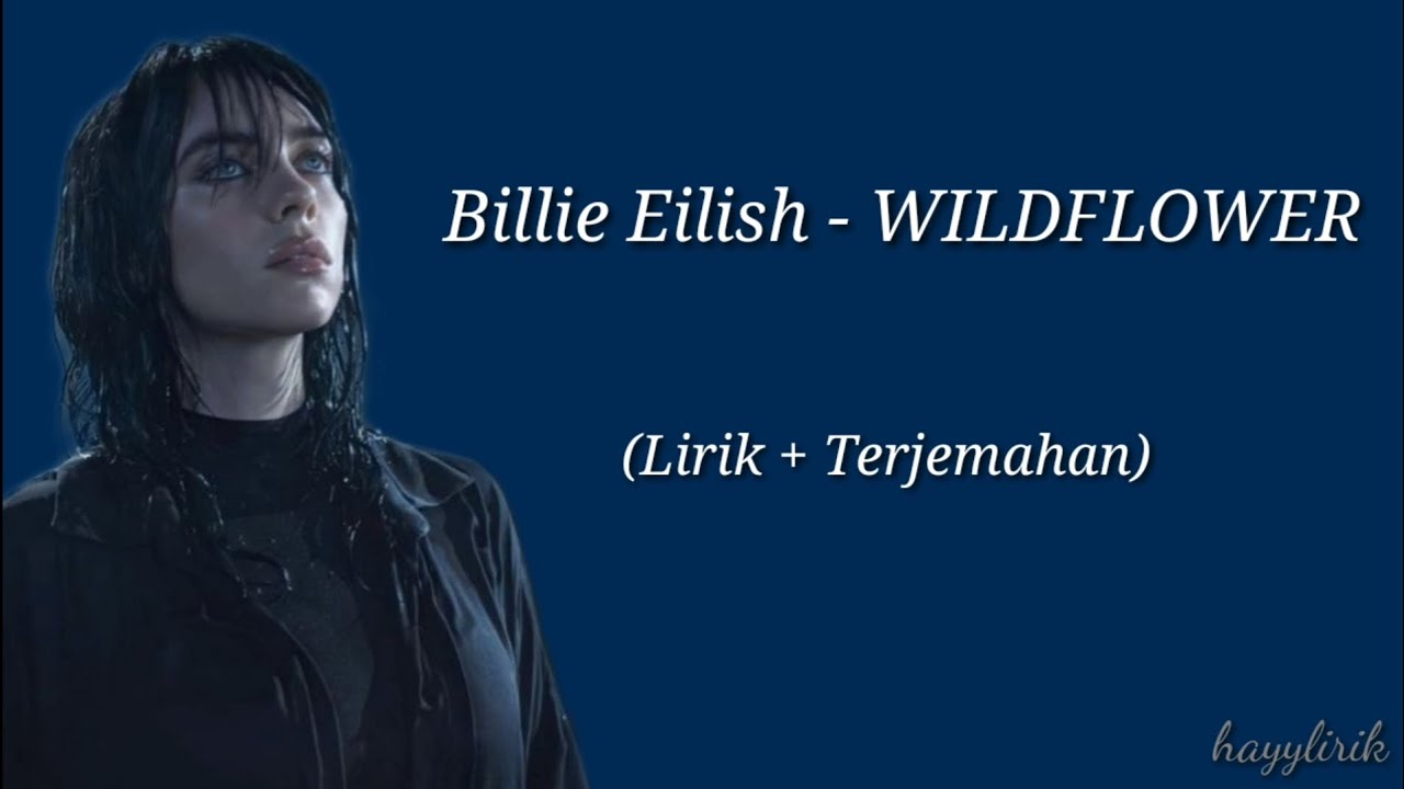 Billie eilish wildflower lirik terjemahan youtube