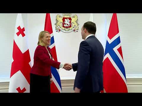 შეხვედრა ნორვეგიის სამეფოს საგარეო საქმეთა მინისტრთან