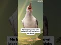 I think I’m funny #shorts #memes #funny