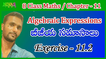Algebraic Expressions - బీజీయ సమాసాలు | Exercise - 11.2 | 8th Class Math | Chapter - 11 | Nivas Info
