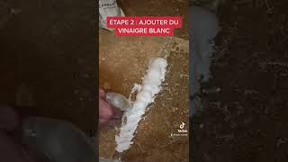 NETTOYER SES JOINTS DE CARRELAGE AVEC DU BICARBONATE DE SOUDE #astuces #diy #nettoyage