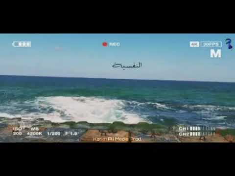 النفسيه محتاجه اسكندريه