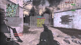 Teh1337's Sexy Nigs v5 | COD 4