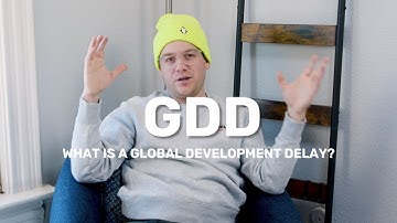 What is a Global Development Delay?