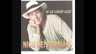 Video thumbnail of "Nico dei Gabbiani - Voglio amarti così (cover)"