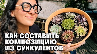 Как составить композицию из суккулентов! Мои находки и трюки.