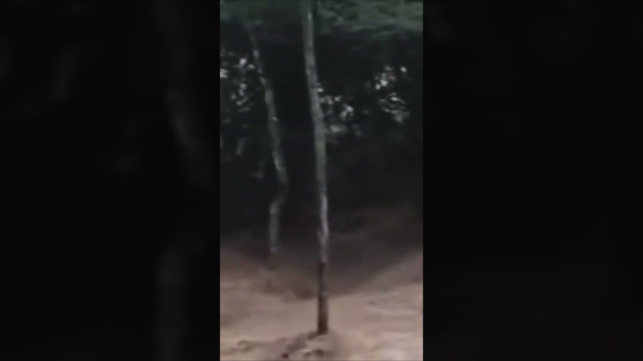 Lũ tại Quảng Nam