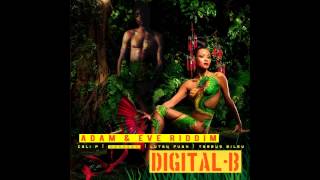 Adam & Eve Riddim Mix (November 2012)