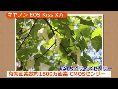 キヤノン EOS Kiss X7i ボディ | デジタル一眼レフ